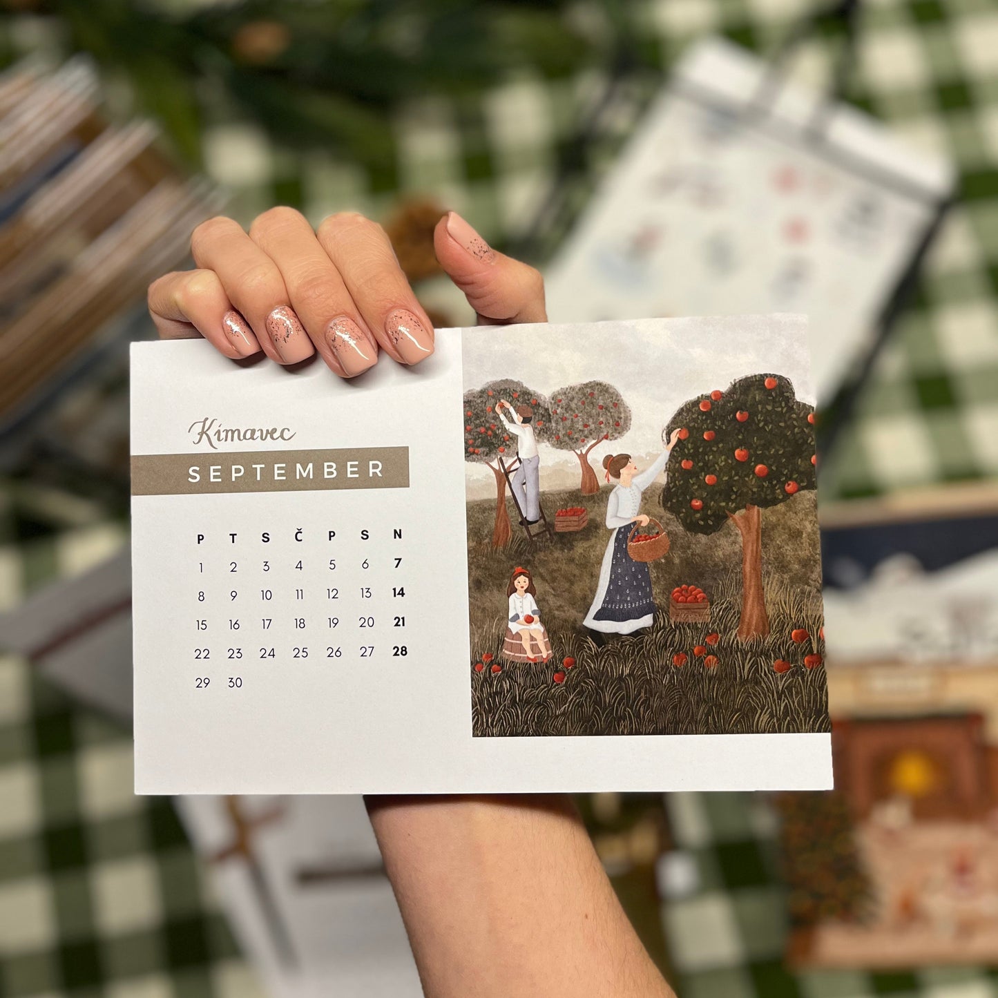 Namizni koledar 2025